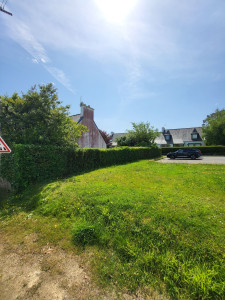 Photo de galerie - Taille d’une haie 