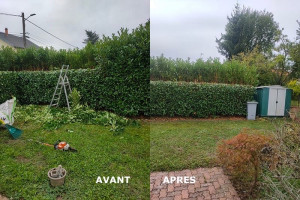 Photo de galerie - Taille de haie