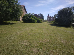 Photo de galerie - Tonte de pelouse - Débroussaillage