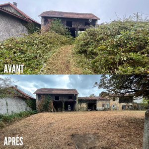 Photo de galerie - Débroussaillage ronces