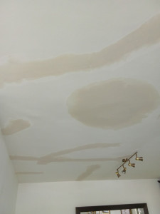 Photo de galerie - Peinture - Tapisserie