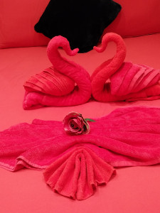 Photo de galerie - Decoration professionals 