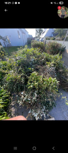 Photo de galerie - Évacuation des déchets végétaux à la decheterie 