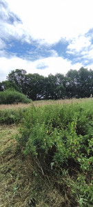 Photo de galerie - Paysagiste - Aménagement du jardin