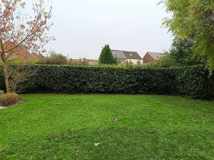 Photo de galerie - Taille de haies et d'arbustes