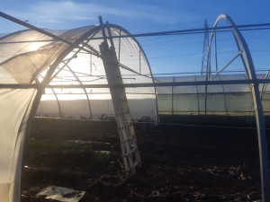 Photo de galerie - Montage de la serre