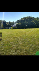 Photo de galerie - Tonte pelouse 