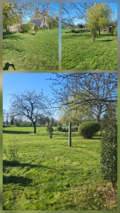 Photo de galerie - Nettoyage entretien.