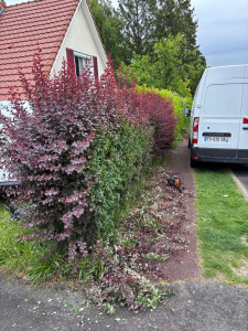 Photo de galerie - Taille 