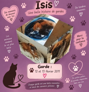 Photo de galerie - Garde chien