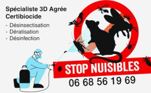 Photo de galerie - Dératisation désinsectisation et désinfection agréé avec certification certibiocide 