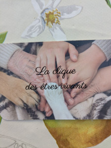Photo de galerie - Aide soignante