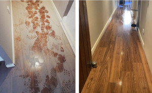 Photo de galerie - Nettoyage fin de chantier 