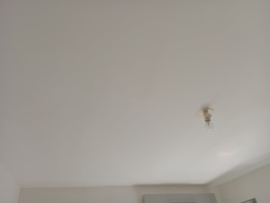 Photo de galerie - Peinture plafond 