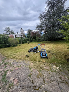 Photo de galerie - Tonte 