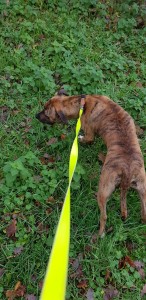 Photo de galerie - Elle est attentive à la découverte 