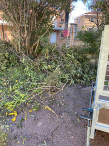 Photo de galerie - Jardinier