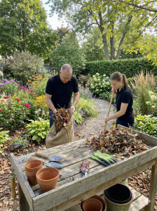 Photo de galerie - Grand nettoyage ou entretien régulier, confiez nous vos espaces verts 