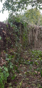 Photo de galerie - Paysagiste - Aménagement du jardin