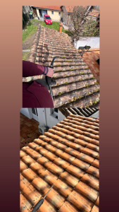 Photo de galerie - Nettoyer les carreaux à l'eau