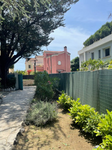 Photo de galerie - Entretien de jardin 