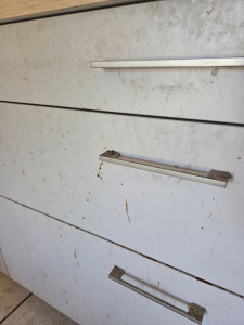 Photo de galerie - Avant