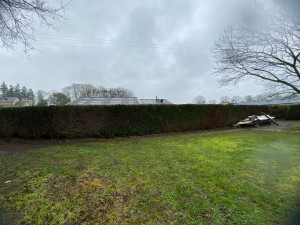 Photo de galerie - Taille de haies et d'arbustes