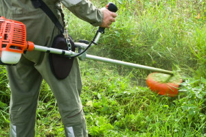 Photo de galerie - Je propose mes services afin de débroussailler votre terrain ou jardin . infos en mp . au plaisir de vous servir 