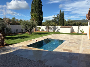 Photo de galerie - Taille de haies et d'arbustes