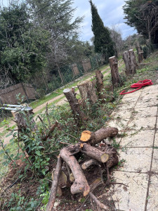 Photo de galerie - Paysagiste - Aménagement du jardin