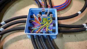 Photo de galerie - Pieuvre électrique 