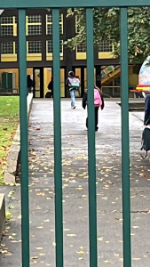 Photo de galerie - Je suis une jeune femme, j' ai 7 ans de expérience de garde des enfants à domicile et sortie de l'école...