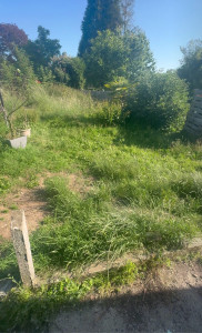 Photo de galerie - Jardin avant
