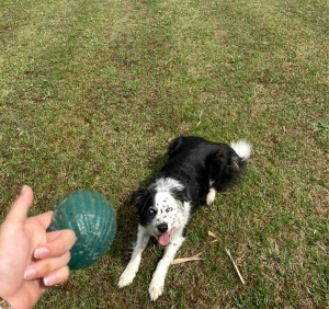 Photo de galerie - Sortie balade quotidienne 