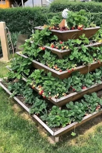 Photo de galerie - Jardin