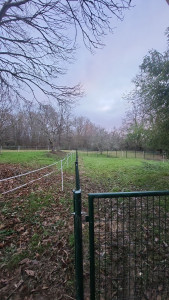 Photo de galerie - Petit parck pour des chevres !!! 95m de clôture rigide avec portail