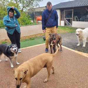 Photo de galerie - En premier plan, Odéa en vacances à la maison avec Hauata juste derrière elle en vacances également... à gauche Frost, la chienne de ma fille et à droite Tess, ma toutoune décédée depuis...