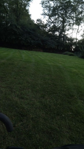 Photo de galerie - Tonte pelouse toute surface 