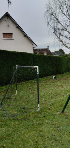 Photo de galerie - Taille de haie 