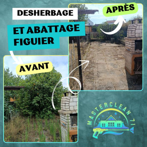 Photo de galerie - Elagage et coupe d'arbres