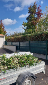 Photo de galerie - Taille de haies 