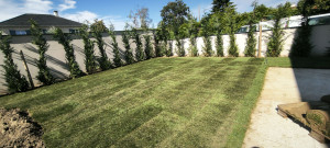 Photo de galerie - Gazon placage