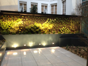 Photo de galerie - Mise en lumière mur végétalisé