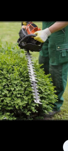 Photo de galerie - Paysagiste - Aménagement du jardin