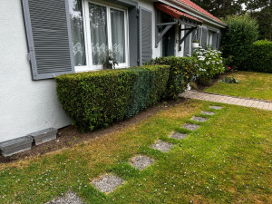 Photo de galerie - Entretien de Jardin 