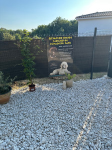 Photo de galerie - Création de jardin