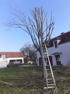Photo de galerie - Et t'étage sur tout type d'arbre