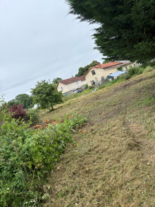Photo de galerie - Tonte de pelouse - Débroussaillage