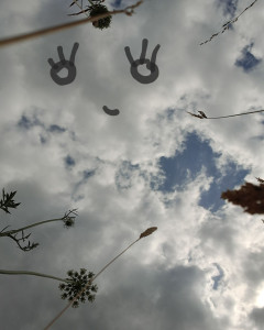 Photo de galerie - Tête dans les nuages.