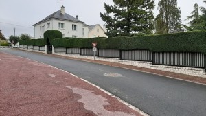 Photo de galerie - Taille de haie